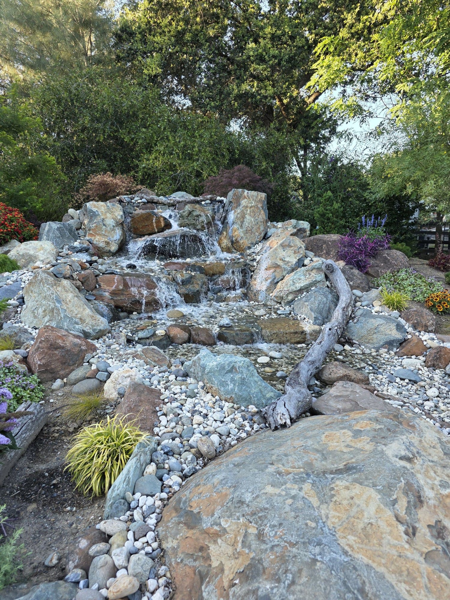 Custom backyard waterfall designed and installed by Holt Landscape in Loomis, CA