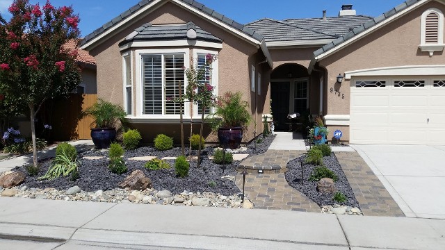 Small Front Lawn Landscaped