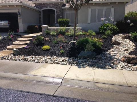 Landscaped front lawn with stone walkway